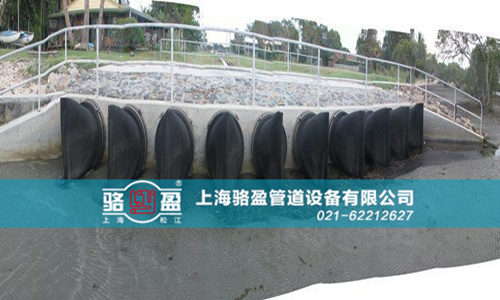 法蘭式<a href=http://www.gzhjjs.com/ target=_blank class=infotextkey>橡膠鴨嘴閥</a>的特點(diǎn)